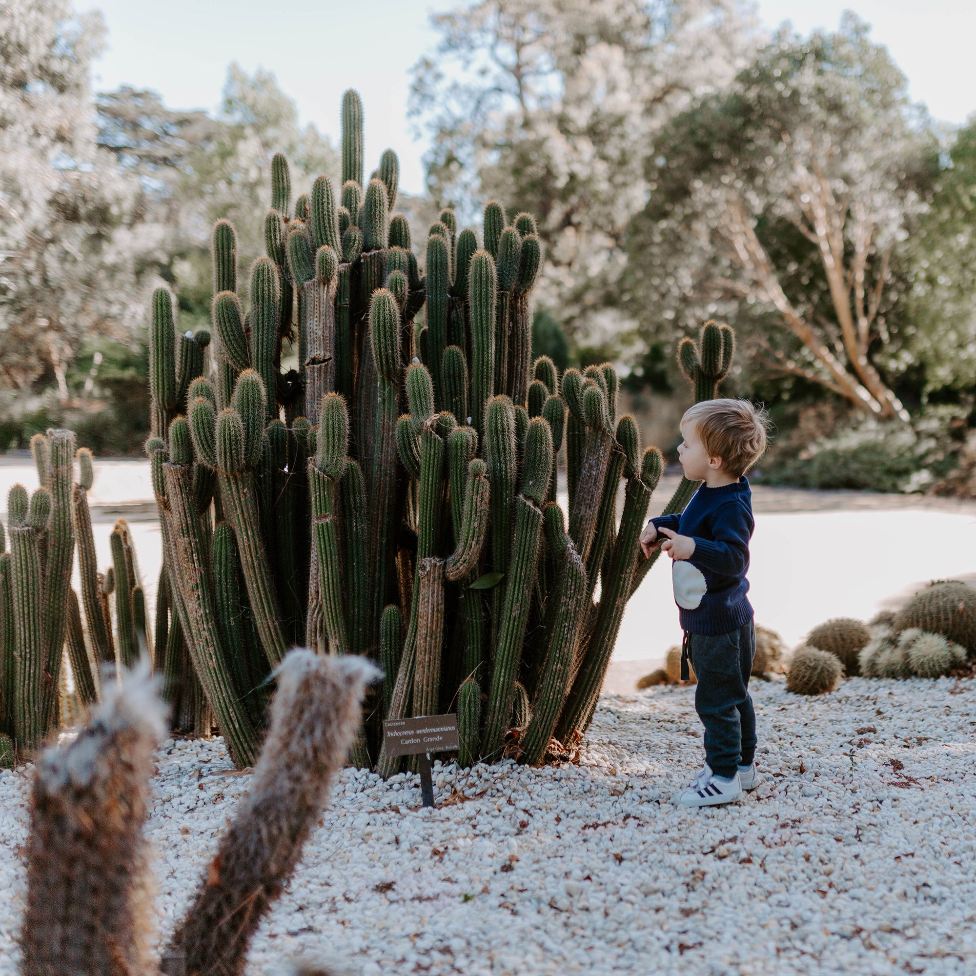 Gender Neutral Children's Clothing